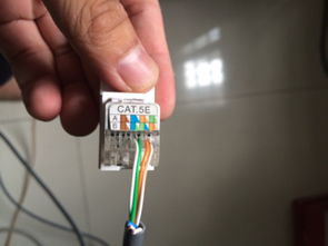 网线面板的接法详解 从线序标准到操作步骤